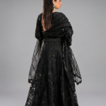 Black Minimalist Embroidered Organza Gown