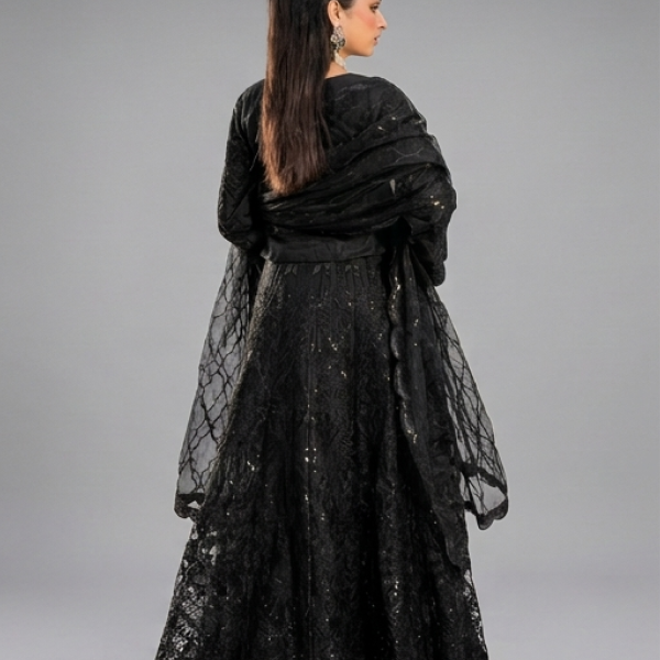 Black Minimalist Embroidered Organza Gown