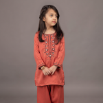 Rust Orange Embroidered Kurta & Shalwar Set