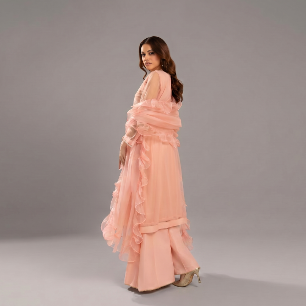 Blush Serenity Ruffled Organza Formal Suit with Intricate Embroidery