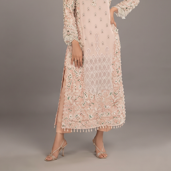 Blush Pink Heavy Embroidered Suit