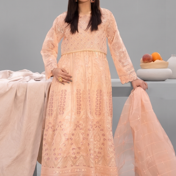 Peach Minimalist Embroidered Organza Co-ord Set
