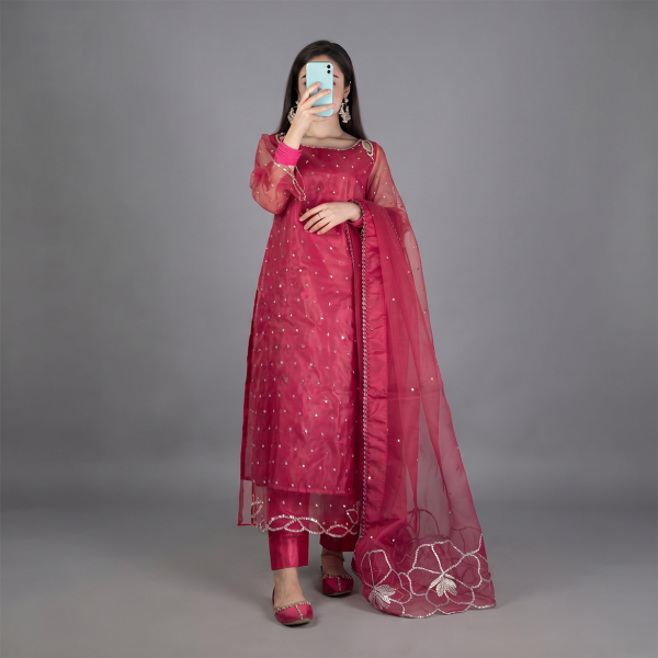 Ruby Radiance Embellished Suit
