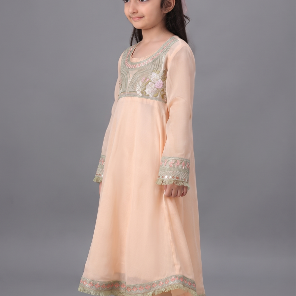 Peach Embroidered Chiffon A-Line Frock