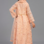 Peach Minimalist Embroidered Organza Co-ord Set