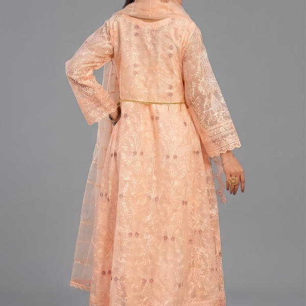 Peach Minimalist Embroidered Organza Co-ord Set