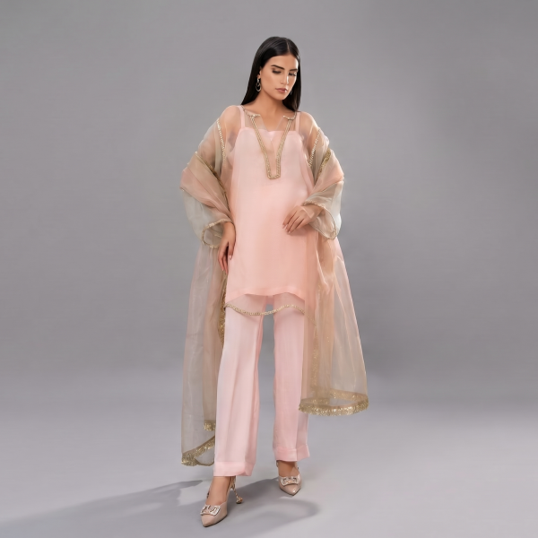 Pastel Luminescence Sheer Organza Co-ord Set with Gota Trims.