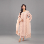 Peach Embroidered Chiffon Suit