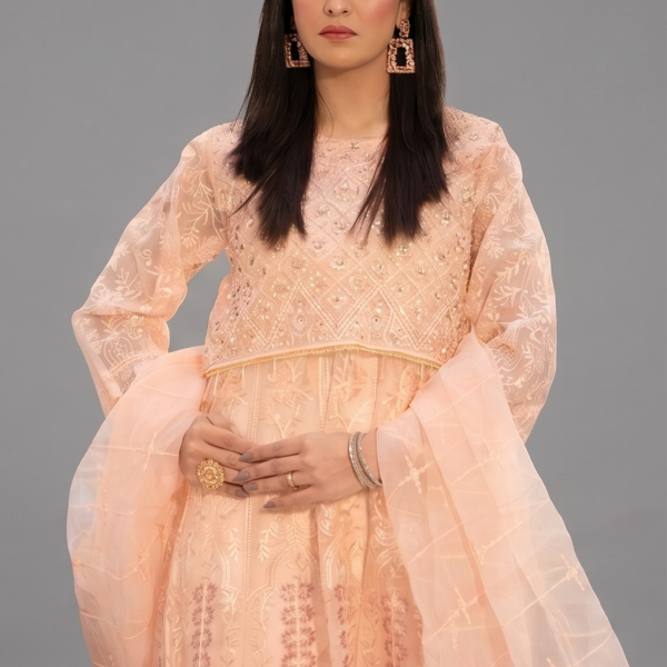 Peach Minimalist Embroidered Organza Co-ord Set
