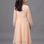 Peach Embroidered Chiffon A-Line Frock