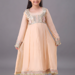 Peach Embroidered Chiffon A-Line Frock