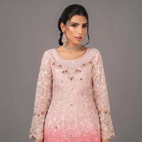 Embroidered Pink Ombré Maxi Dress