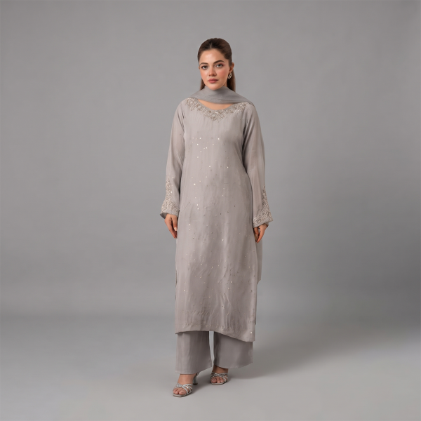 Ethereal Silver-Grey Embellished Ensemble