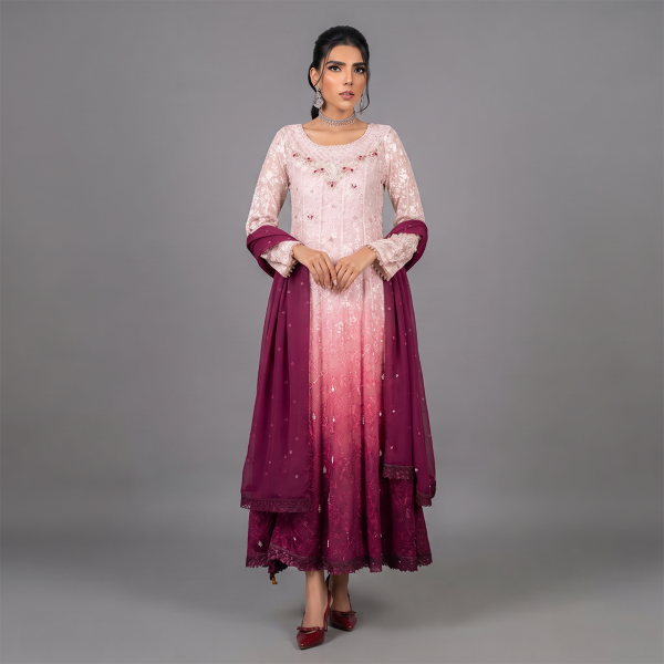 Embroidered Pink Ombré Maxi Dress