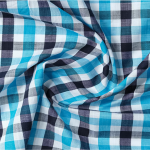 Blue and Black Check Casual Shirt