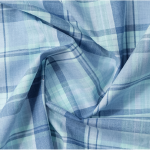 Blue Checkered Casual Shirt